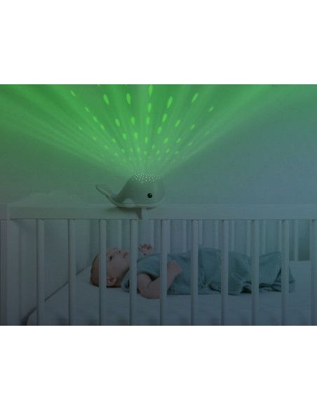 Lampy i projektory Lampy i projektory