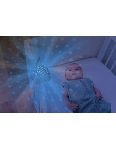 Lampy i projektory