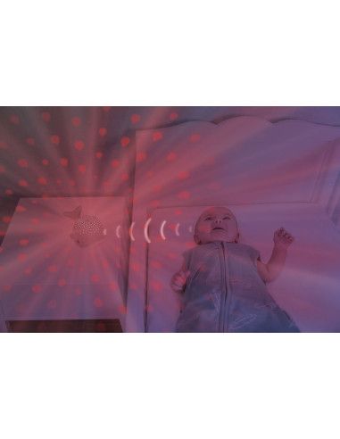 Lampy i projektory