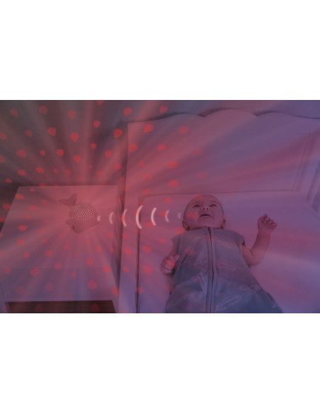 Lampy i projektory Lampy i projektory