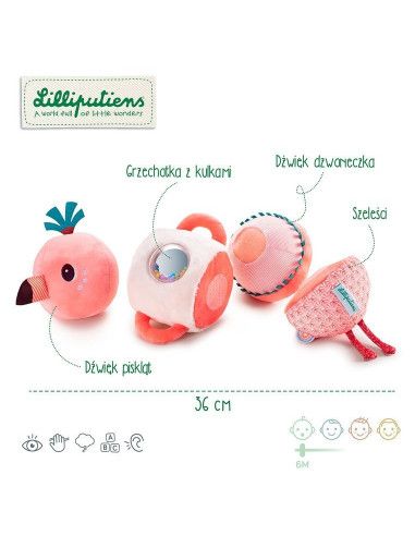 Zabawki Sensoryczne dla dzieci