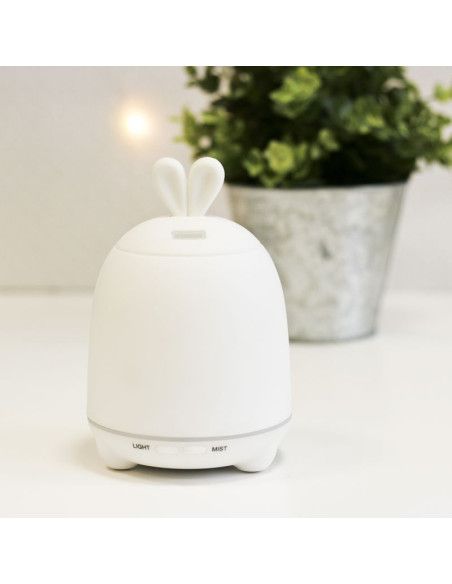 Lampy i projektory Lampy i projektory