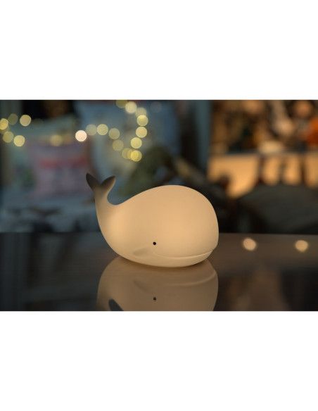 Lampy i projektory