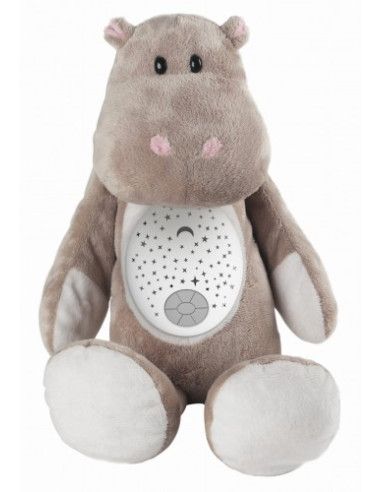 Lampy i projektory
