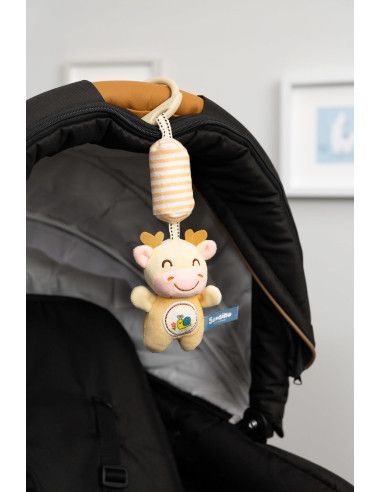 Zawieszki edukacyjne