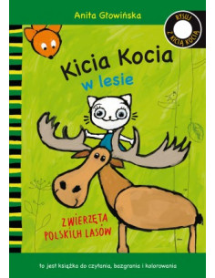 KICIA KOCIA w lesie zwierzęta polskich lasów