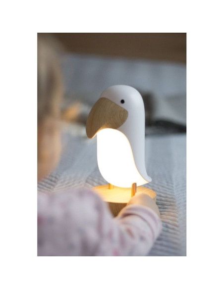 Lampy i projektory