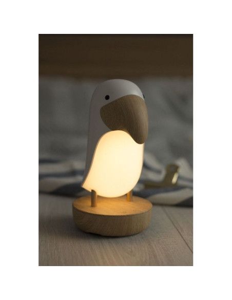 Lampy i projektory