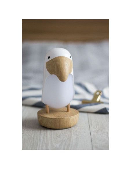 Lampy i projektory