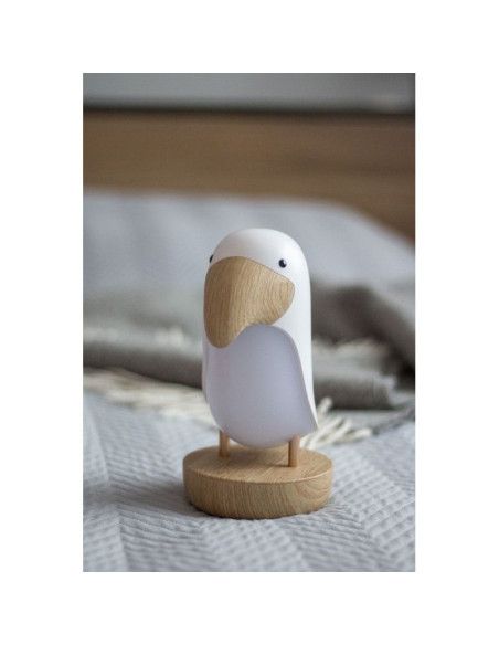 Lampy i projektory