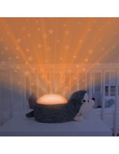 Lampy i projektory