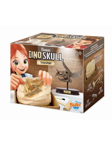 Muzeum Czaszek Dinozaura TRICERATOPS Buki France