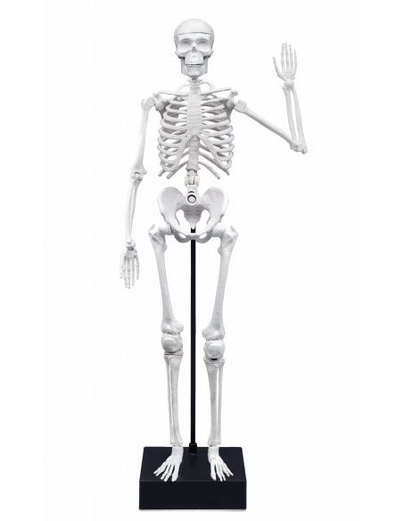 Zabawki edukacyjne dla dzieci