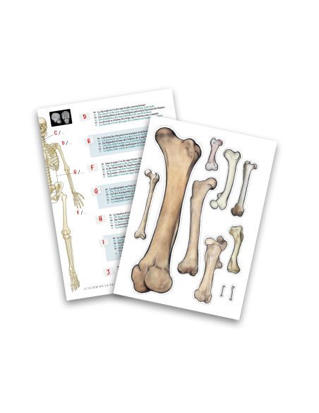 Zabawki edukacyjne dla dzieci