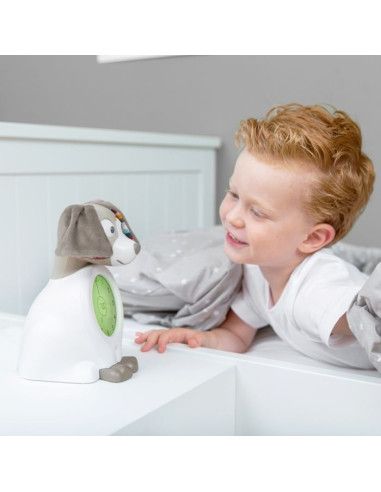 Pozytywki dla dzieci