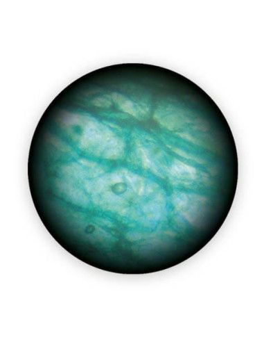 Zabawki edukacyjne dla dzieci