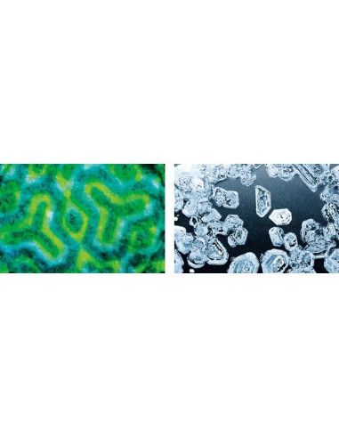 Zabawki edukacyjne dla dzieci