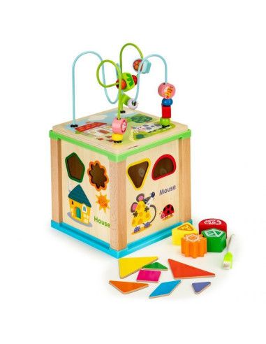 Drewniana Kostka Edukacyjna Tablica Sorter Ecotoys