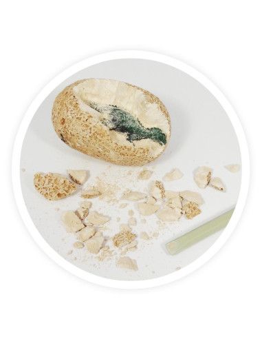 Zabawki edukacyjne dla dzieci