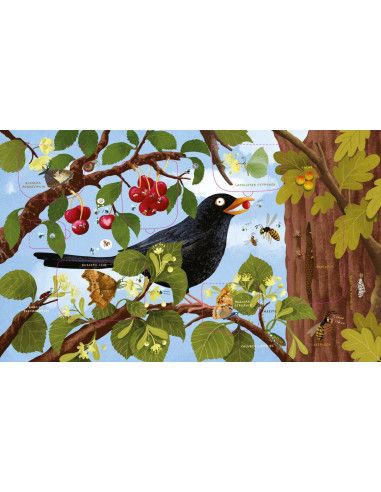 Książki i kolorowanki dla dzieci