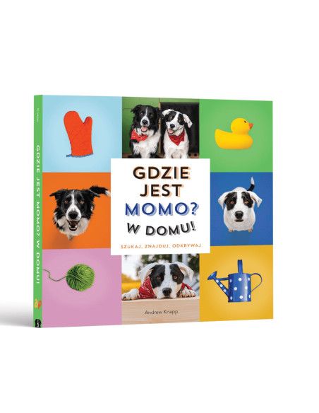 Książki i kolorowanki dla dzieci