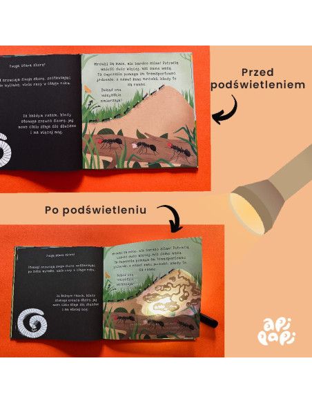 Książki i kolorowanki dla dzieci