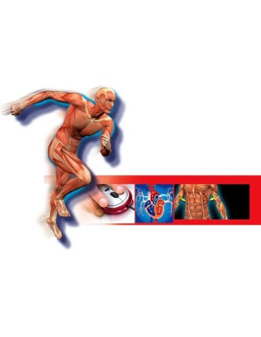 Zabawki edukacyjne dla dzieci