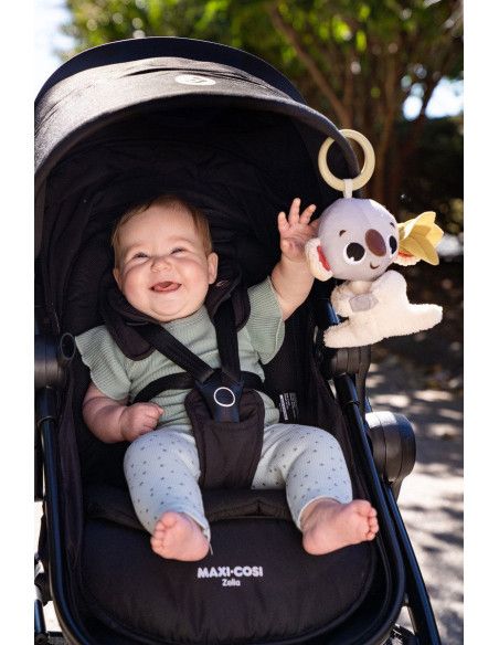 Zawieszki edukacyjne