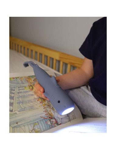 Lampy i projektory