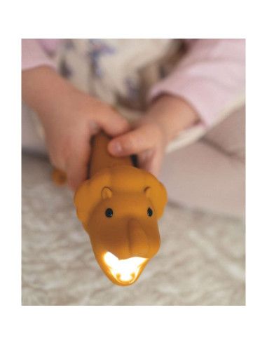 Lampy i projektory