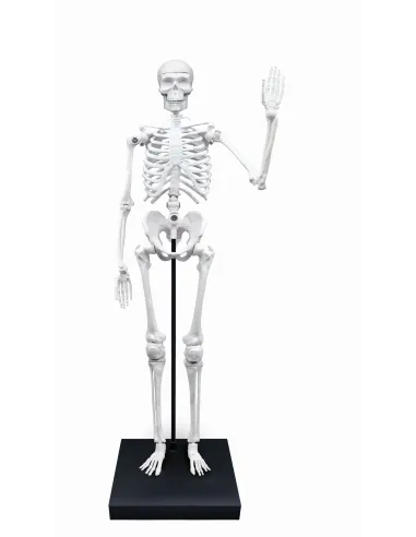 Zabawki edukacyjne dla dzieci