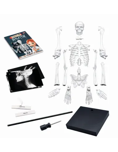 Zabawki edukacyjne dla dzieci