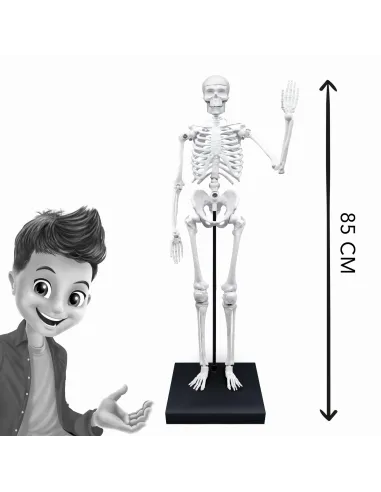 Zabawki edukacyjne dla dzieci