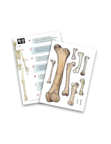 Zabawki edukacyjne dla dzieci