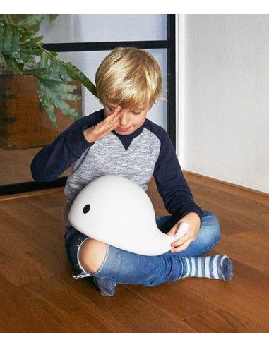 Lampy i projektory