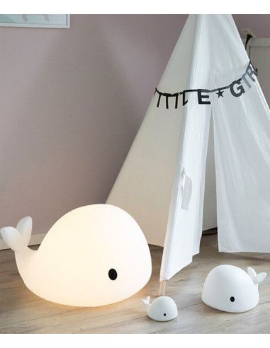 Lampy i projektory
