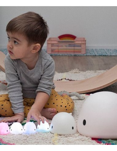 Lampy i projektory
