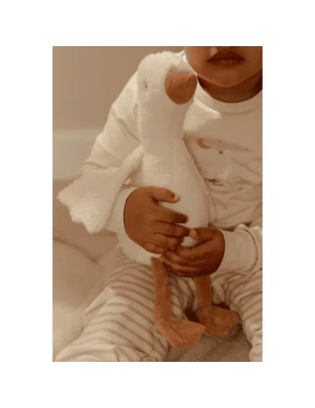 Strona główna kategorii