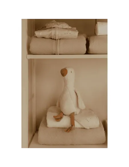 Strona główna kategorii