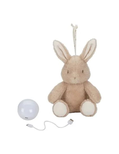 Lampy i projektory