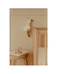 Pozytywka Gąska Newborn Naturals Little Dutch 2