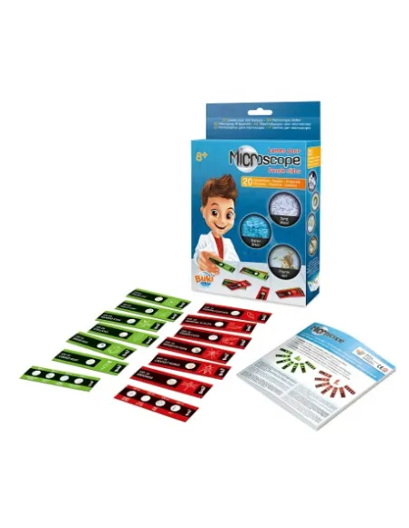 Slajdy próbek mikroskopowych Buki