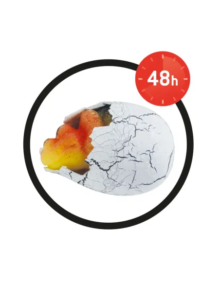 Zabawki edukacyjne dla dzieci