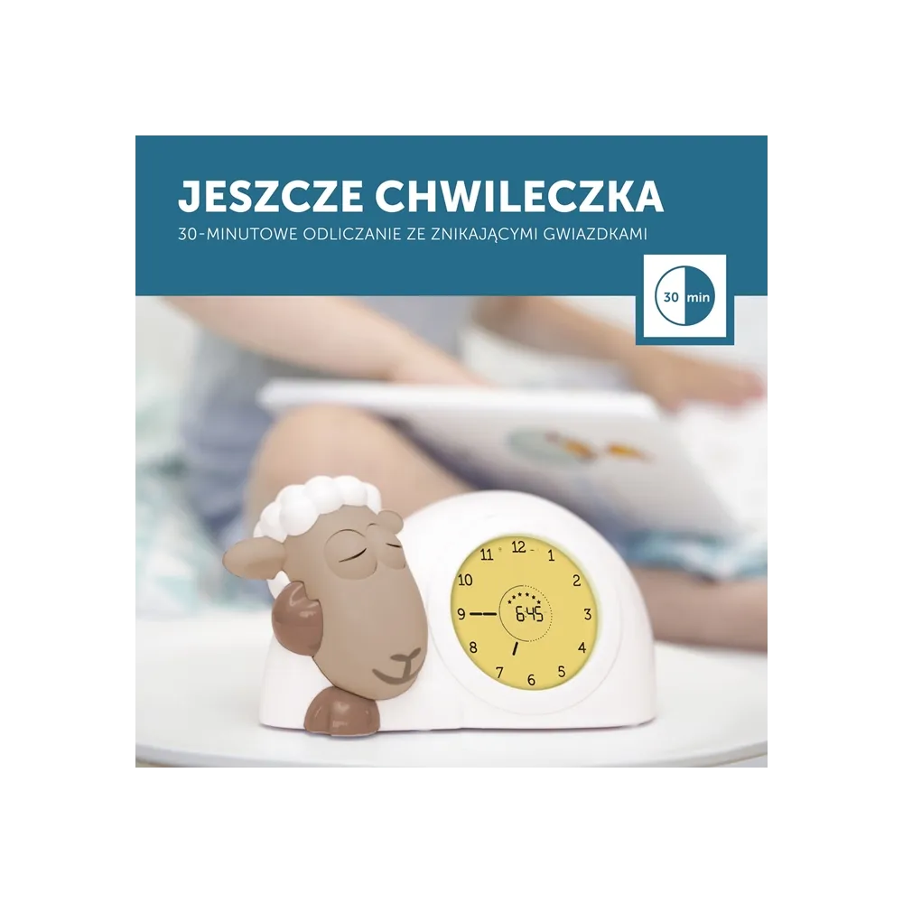 Strona główna kategorii