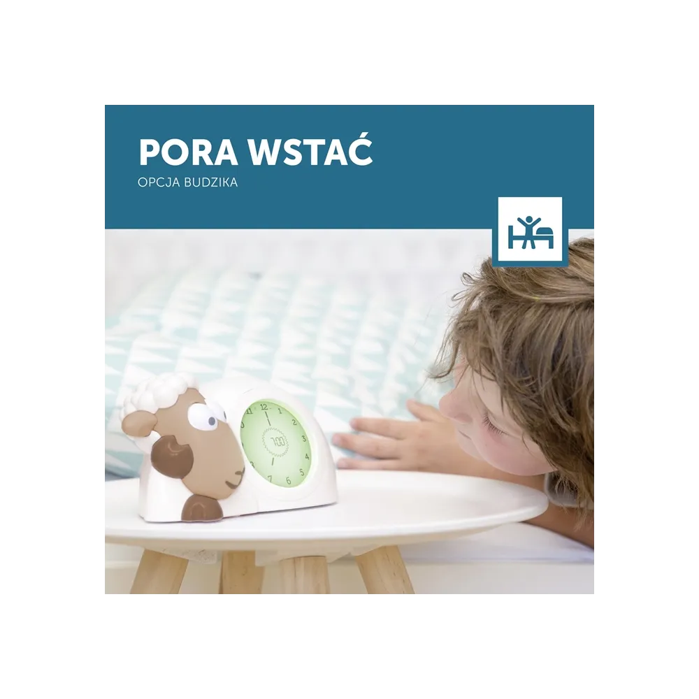 Strona główna kategorii