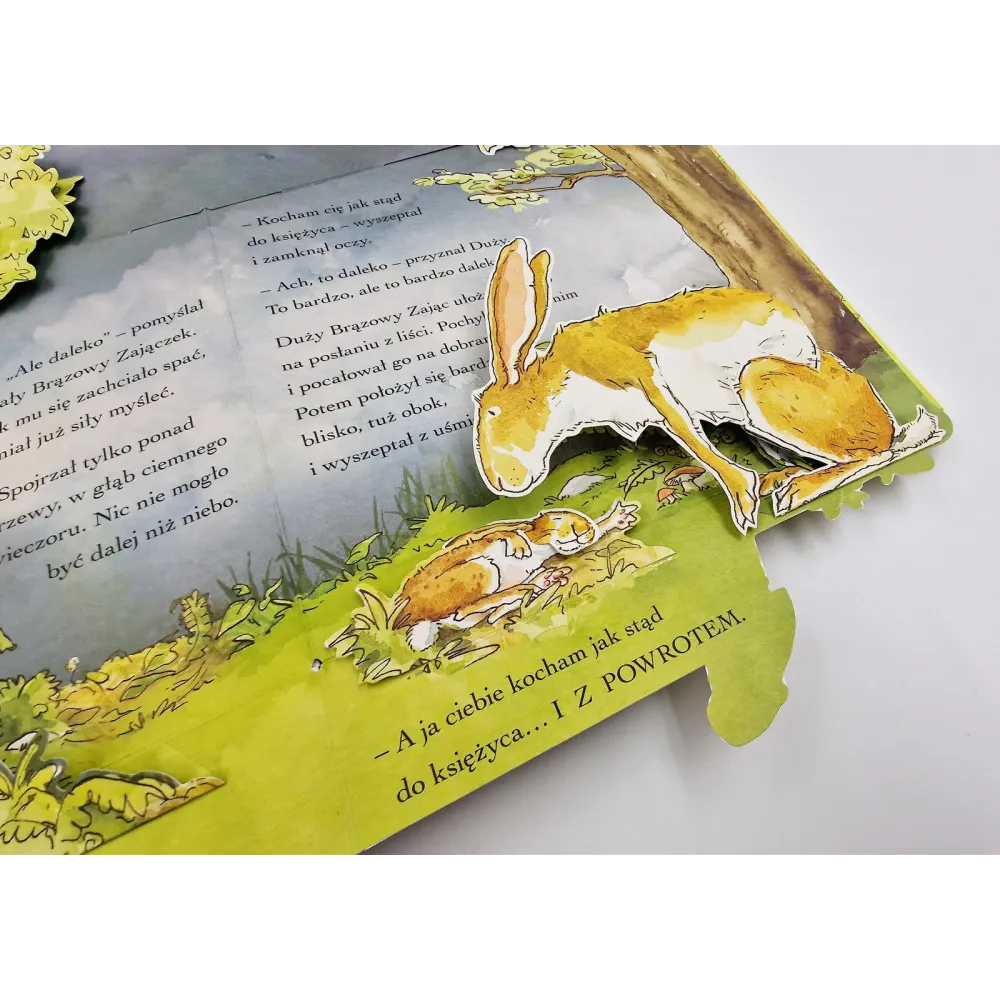 Książki i kolorowanki dla dzieci