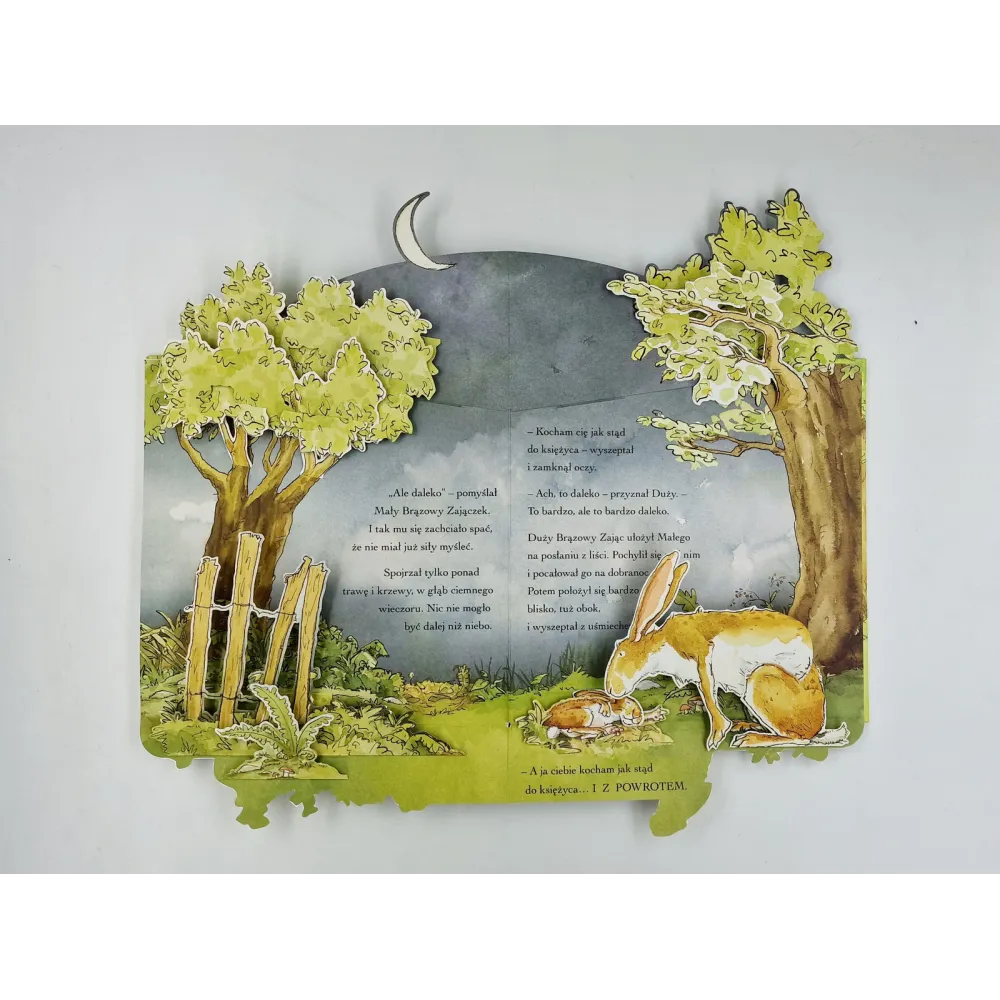 Książki i kolorowanki dla dzieci