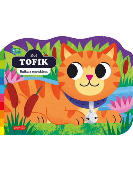 Książki i kolorowanki dla dzieci