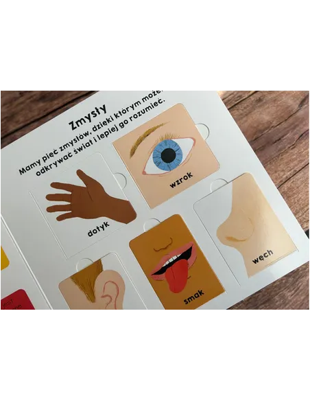 Książki i kolorowanki dla dzieci