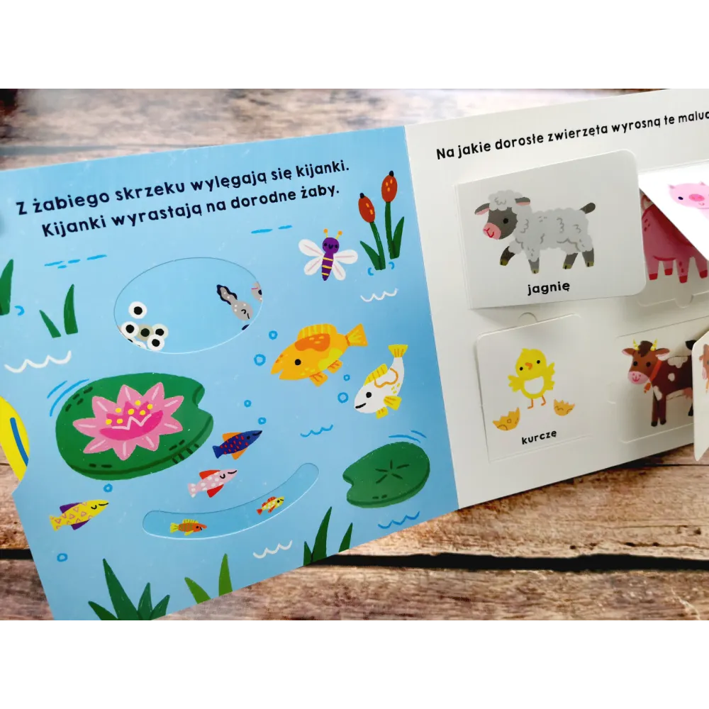 Książki i kolorowanki dla dzieci